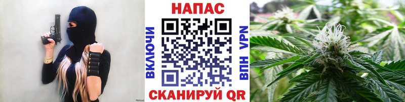 Псилоцибиновые грибы Норильск