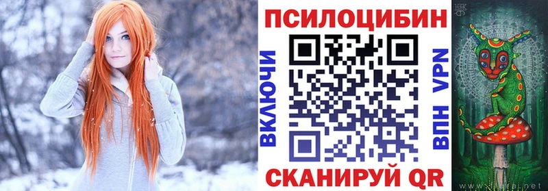 как найти   Норильск  Псилоцибиновые грибы Psilocybe 